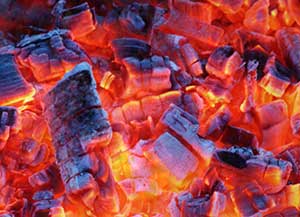 charcoal in Johannesburg for sale